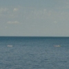 girls on lake
