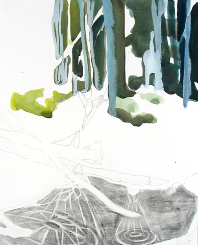 Forest 1