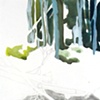 Forest 1