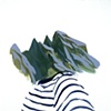 Mountain (head)