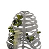Beehive