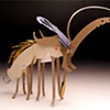 Shovel Insect