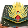 A Book of Abstrations