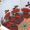 Flight of the Paper Bee