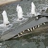 Kotocrocodile