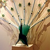 Peacpipe
