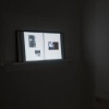 Photo Album, Installation View