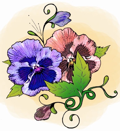 pansies 