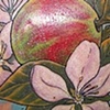 apple blossoms tattoo