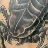 Scorpion Backpiece
