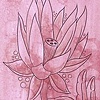 lotus mudra