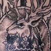 Scottish Clan badge