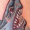 shark tattoo