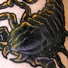 Scorpion Tattoo