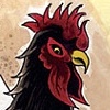 black cock