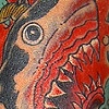 severed shark head