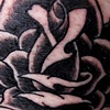 black rose tattoo