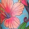 swallows and tropical flowers