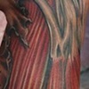 Tattoo of exposed muscle and bones on leg . We tried to keep it anatomically correct as possible.