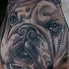 Portrait of customers dog that I did while at the Evian Tattoo Convention in France. 