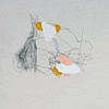 position papers series