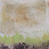 fields in spring ii