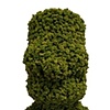 TOPIARY BART