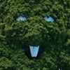 JUBOKKO (TREE VAMPIRE)