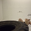 Tough Loving Care 7