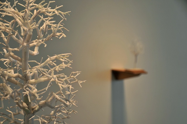 ProtectUs [installation view]