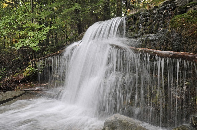 Sanders Kill Falls