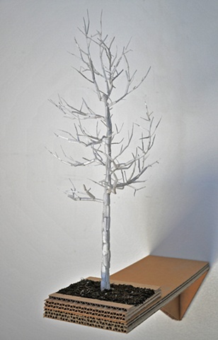 Sweetgum