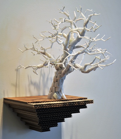 London Plane
