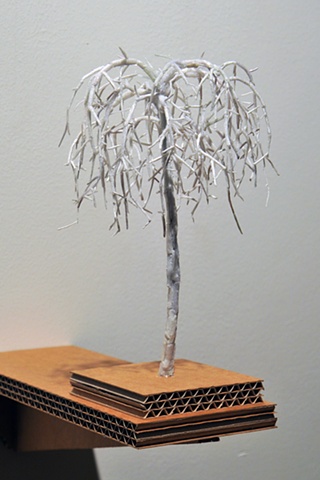 Weeping Cherry
