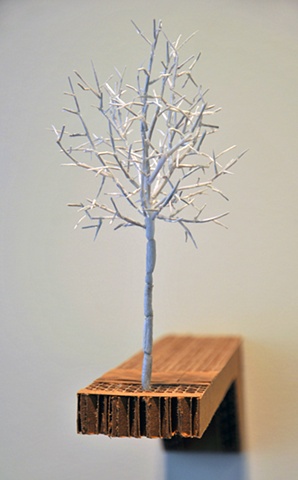 Silver Linden