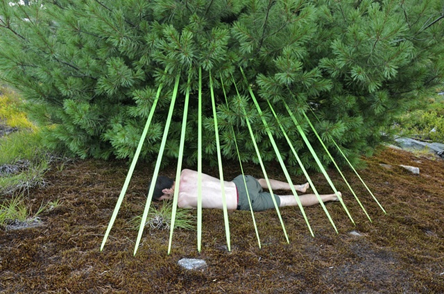 TreeGuard
