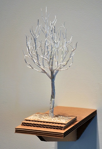 Littleleaf Linden