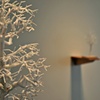 ProtectUs [installation view]