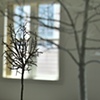 ProtectUs [installation view]