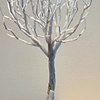 Littleleaf Linden