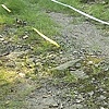 Black Ash Mining Road