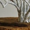 American Hornbeam