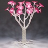 Pink Flower Trees