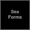 Glass Sea Forms w/ Wall Mounts