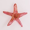 Red Optical Glass Star Fish