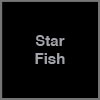 Glass Star Fish w/ Wall Mounts