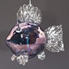 Blue Luster Optical Glass Fish