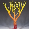 Fire Trees