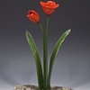 California Poppy Glass Flowers