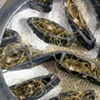 Untitled (detail)
